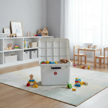 Cargar imagen en el visor de la galería, Caja Plástica Ónix 28 Litros Con Grapa De Seguridad Peyo Surtidos Ónix