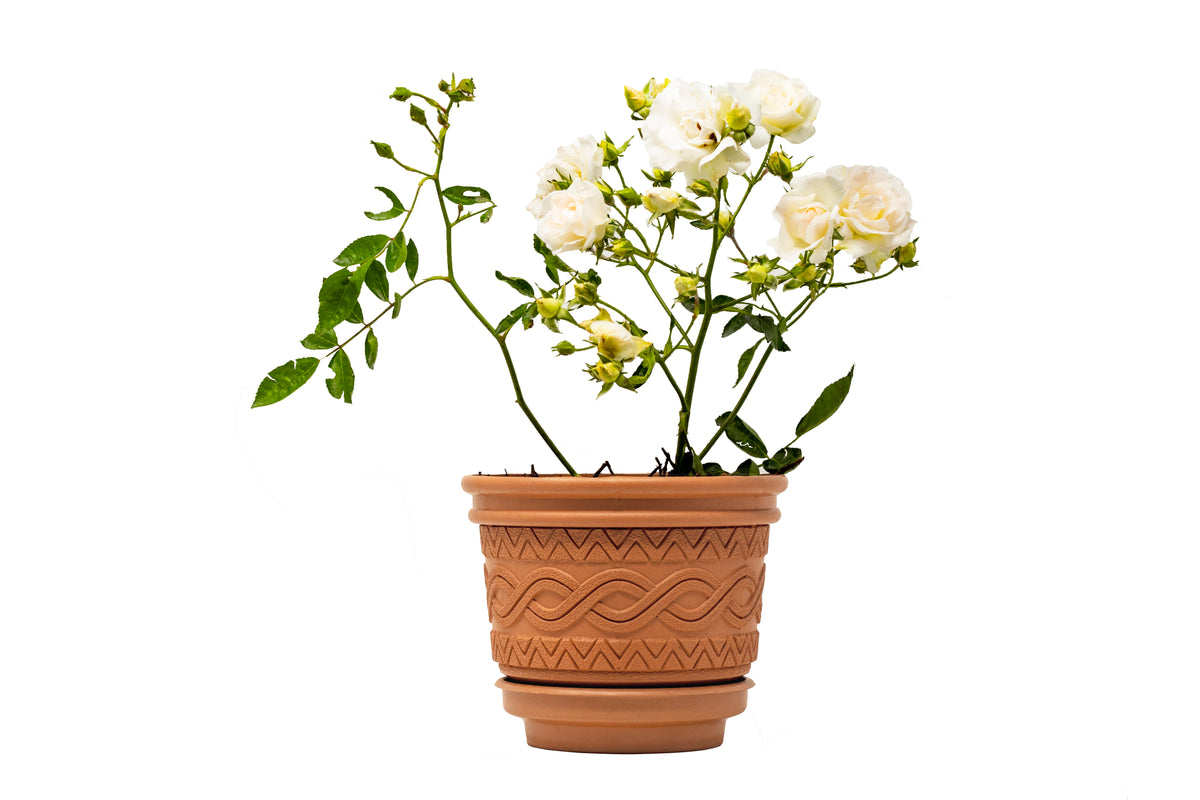 Maceta Plástica Azteca 111C Diámetro de 27.5cm